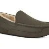 UGG Ascot -Comfy Shoes Store 71OeJe27JSL. AC SR920736