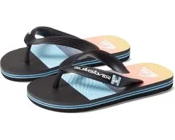 Quiksilver Kids Molokai Panel (Toddler/Little Kid/Big Kid)