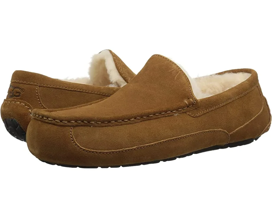 UGG Wide Ascot 3 UGG Wide Ascot