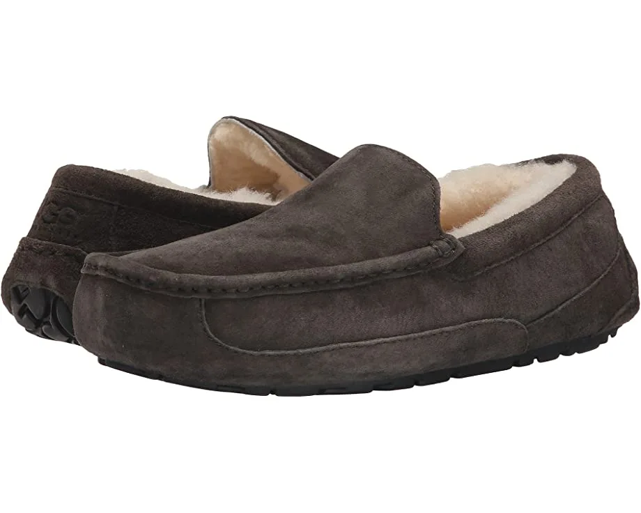 UGG Ascot 3 UGG Ascot